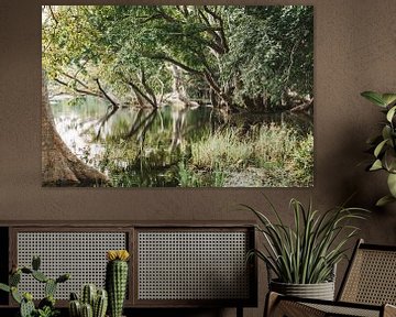 Bomen reflectie in meer - Sri Lanka reisfotografie print van Freya Broos