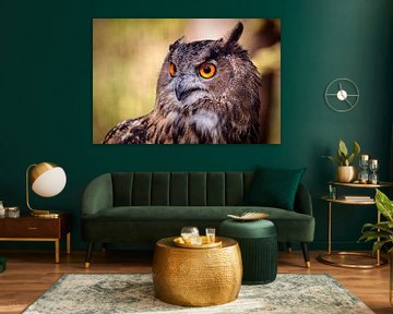 Eagle Owl by Rob Boon