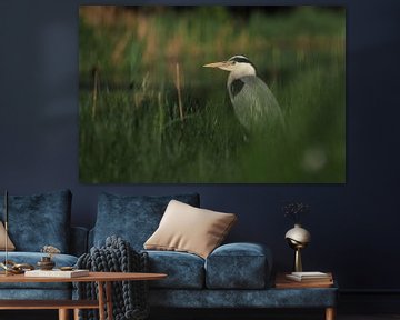 Blauwe reiger van Astrid Brouwers