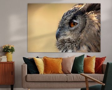 European eagle owl - Bubo bubo by Tanja van Beuningen