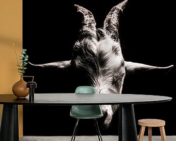 Animal portrait of a Goat in Black and White by Jan Hermsen
