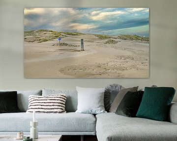 Coastline with the North Sea beach and the dune landscape by eric van der eijk