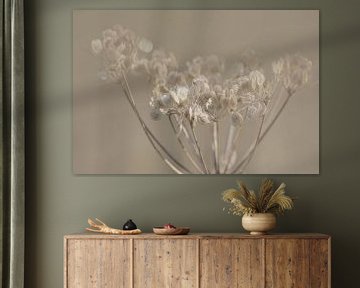 Dawn 3 van Foto Studio Lyn Labie