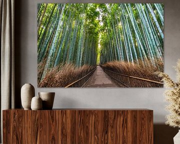 LP 71316973 Walkway in Arashiyama Bamboo Grove, Kyoto, Japan, Asia by BeeldigBeeld Food & Lifestyle