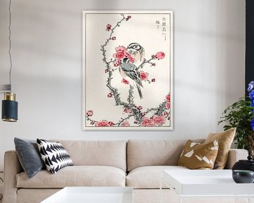 Fichtenammer und Pflaumenbaum Illustration von Numata Kashu von Studio POPPY