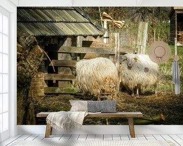 Sheep in the stable by Jos Saris