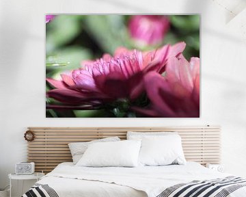 Roze bloem