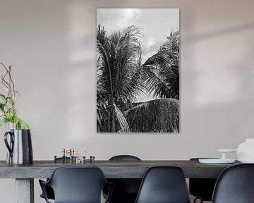 Black White Palm Leaves by Henrike Schenk