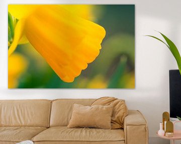 Narcis sur Melle van der Wildt