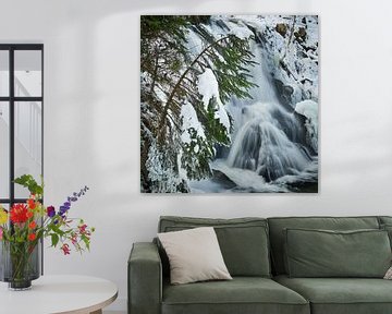 Triberg Waterval in Winter Detail van Keith Wilson Photography