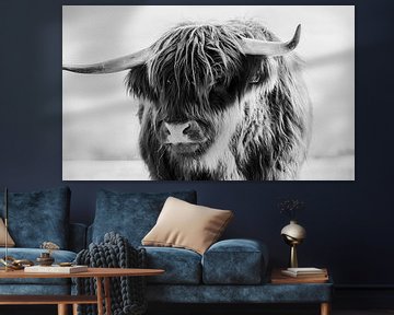 Portrait d'une vache écossaise Highlander en noir et blanc / bovin sur KB Design & Photography (Karen Brouwer)