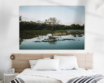 Reflectie boom in meer - Sri Lanka reisfotografie print van Freya Broos