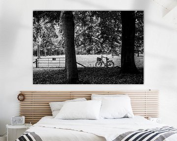 Twee geparkeerde fietsen in het bos, fotoprint