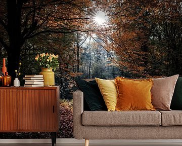 Waterloopbos in Marknesse