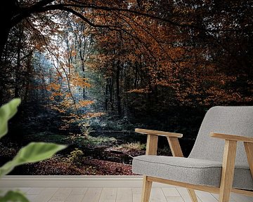 Waterloopbos in Marknesse