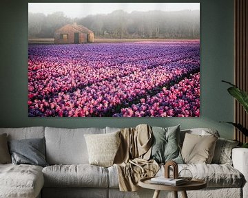 Tulpen in ochtend mist van Dirk-Jan Steehouwer