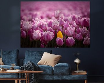 Kleurrijk veld van tulpen van Dirk-Jan Steehouwer