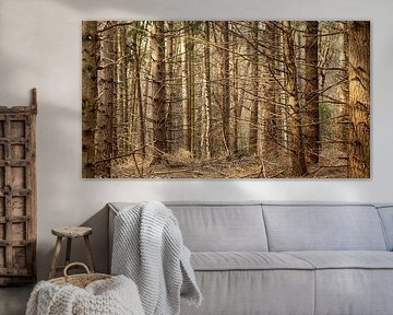 Wald