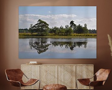 Heidelandschap Valkenheide Leersum met mooie weerspiegeling van bomen en wolken in de Leersumse Plas van Robin Verhoef