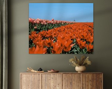 Tulips and mill by Rene van der Meer