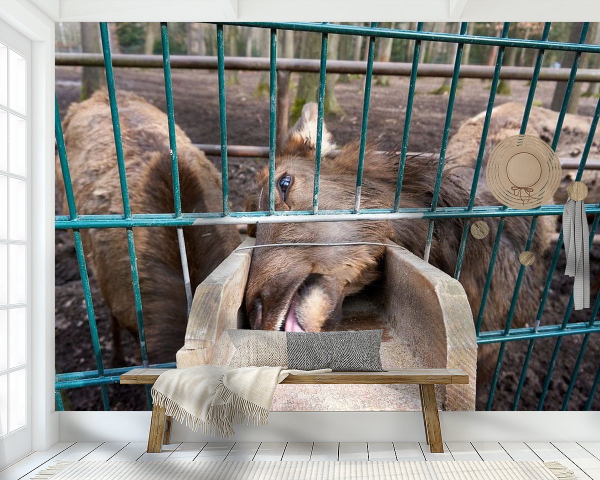 Raumvorschau