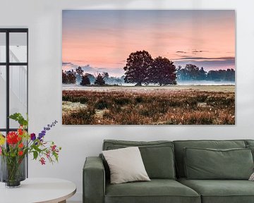 Eiken in landschap