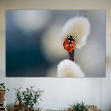 Genießen Sie die kleinen Dinge des Lebens......