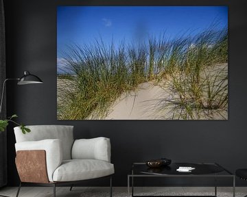 Ammophile sur une dune de plage néerlandaise sur Peter van Weel