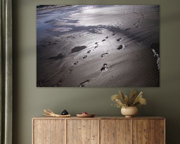 Beach detail of the Dutch coast