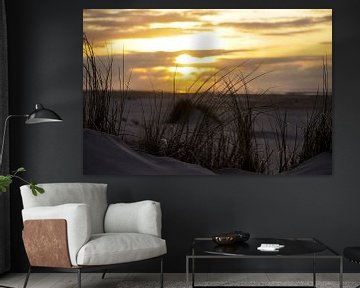 Marram grass on Dutch beach dune with sunset by Peter van Weel