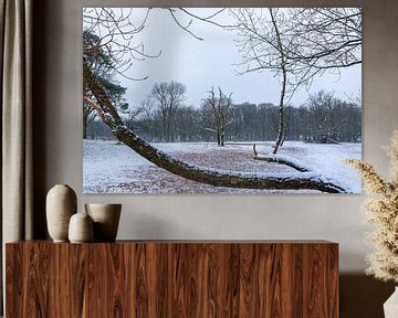 view on tree in the snow by Merijn Loch
