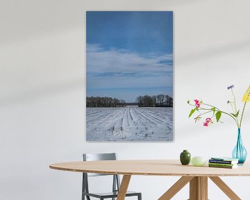 snowy landscape by Andre Klooster