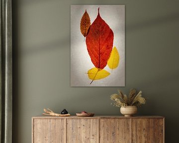 Herfst kleuren van Anneliese Grünwald-Märkl