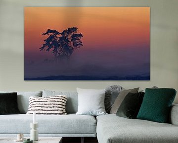 Veluwe Sunset van Marcel van Balkom
