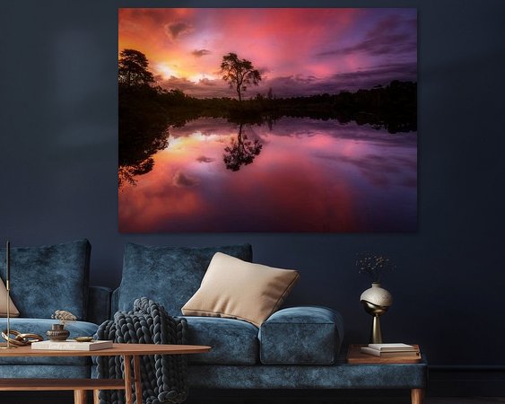 Aperçu de la chambre