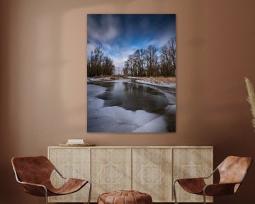 Paysage d'hiver de Biesbosch sur Marcel van Balkom