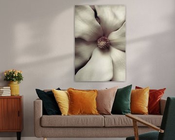 Magnolia in close-up van tim eshuis