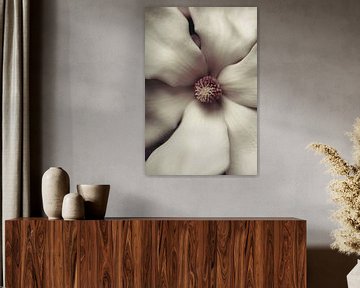 Magnolia in close-up van tim eshuis