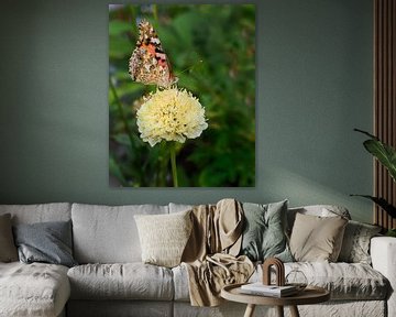 Fritillary on solitary yellow flower by Marly De Kok