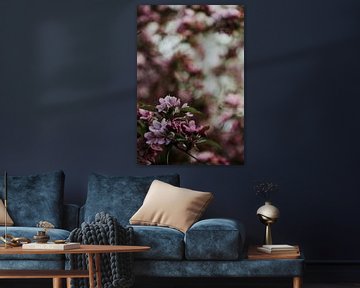 Rosa Frühlingsblüte | Arnheim, Holland von Trix Leeflang
