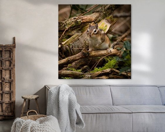 Aperçu de la chambre