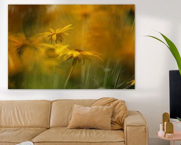 gele bloemen van Fotografie John van der Veen