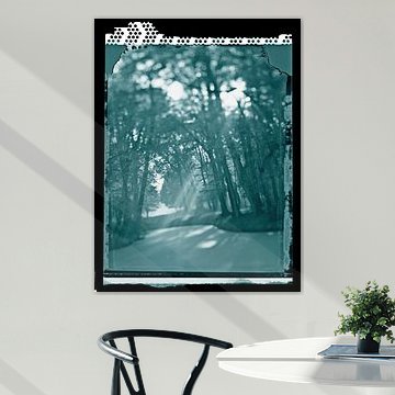 magisch bos in sfeerlicht van Karel Ham