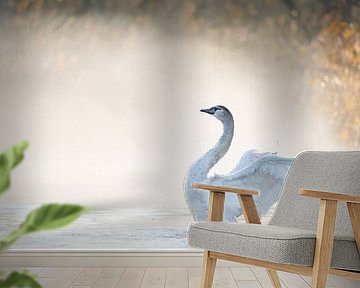 Schwan mit weit geöffneten Flügeln im Brabant Biesbosch von Judith Borremans Natuurfotografie
