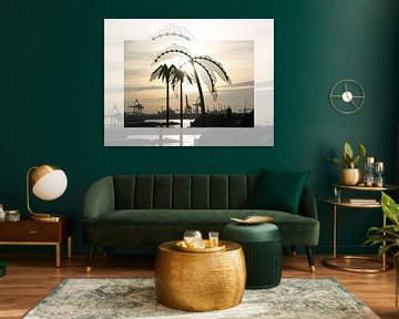 Palmen im Hamburger Hafen von Franz Walter