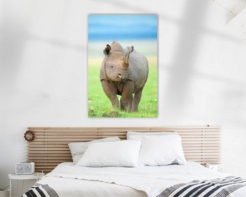 Rhinocéros noir debout sur des plaines ouvertes, Kenya, Afrique