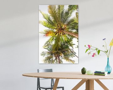 Palmbomen in de zon in India | Reisfotografie print van Travelaar