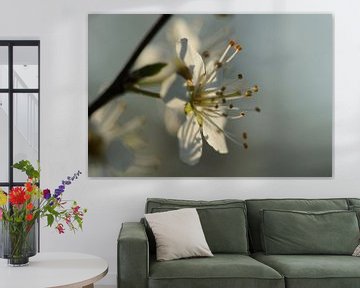 Blossom by Carla Mesken-Dijkhoff