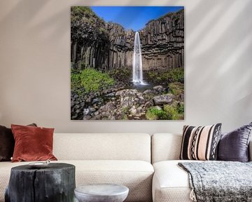 Wasserfall Svartifoss in Island von Dieter Meyrl