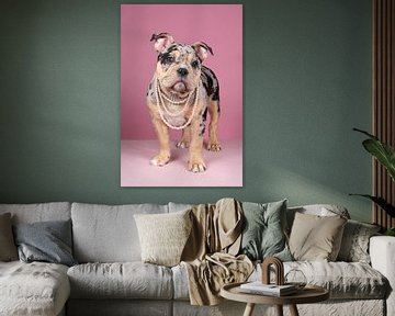 Porträt eines niedlichen Old English Bulldog Welpen vor einem rosa Hintergrund mit einer Perlenkette von Leoniek van der Vliet